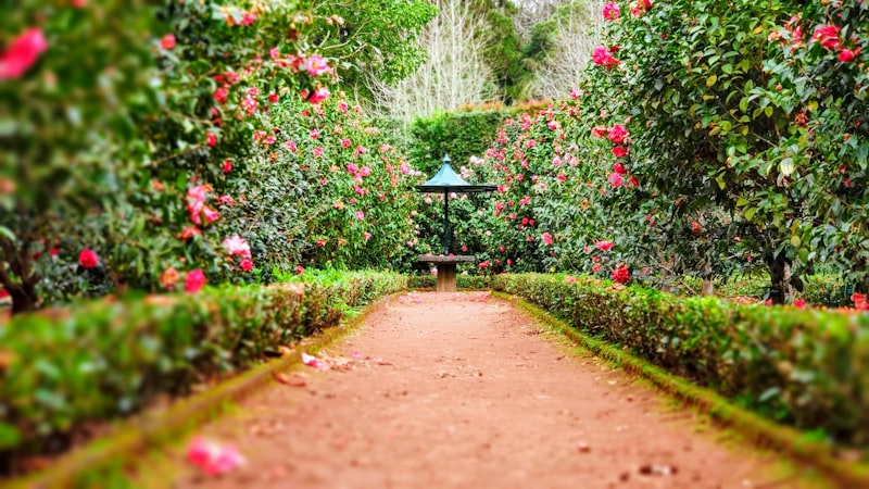 Custom Web Design for Landscaping Contractors Portfolio Showcase