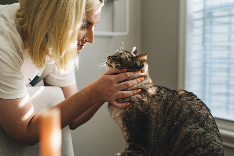 Custom Web Design for Veterinary Clinics Portfolio Showcase